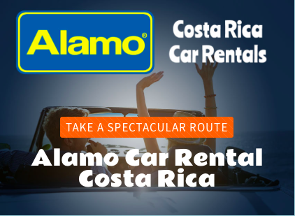 🚗 Explore the USA with Freedom — Your Ultimate Guide to Alamo Car Rental